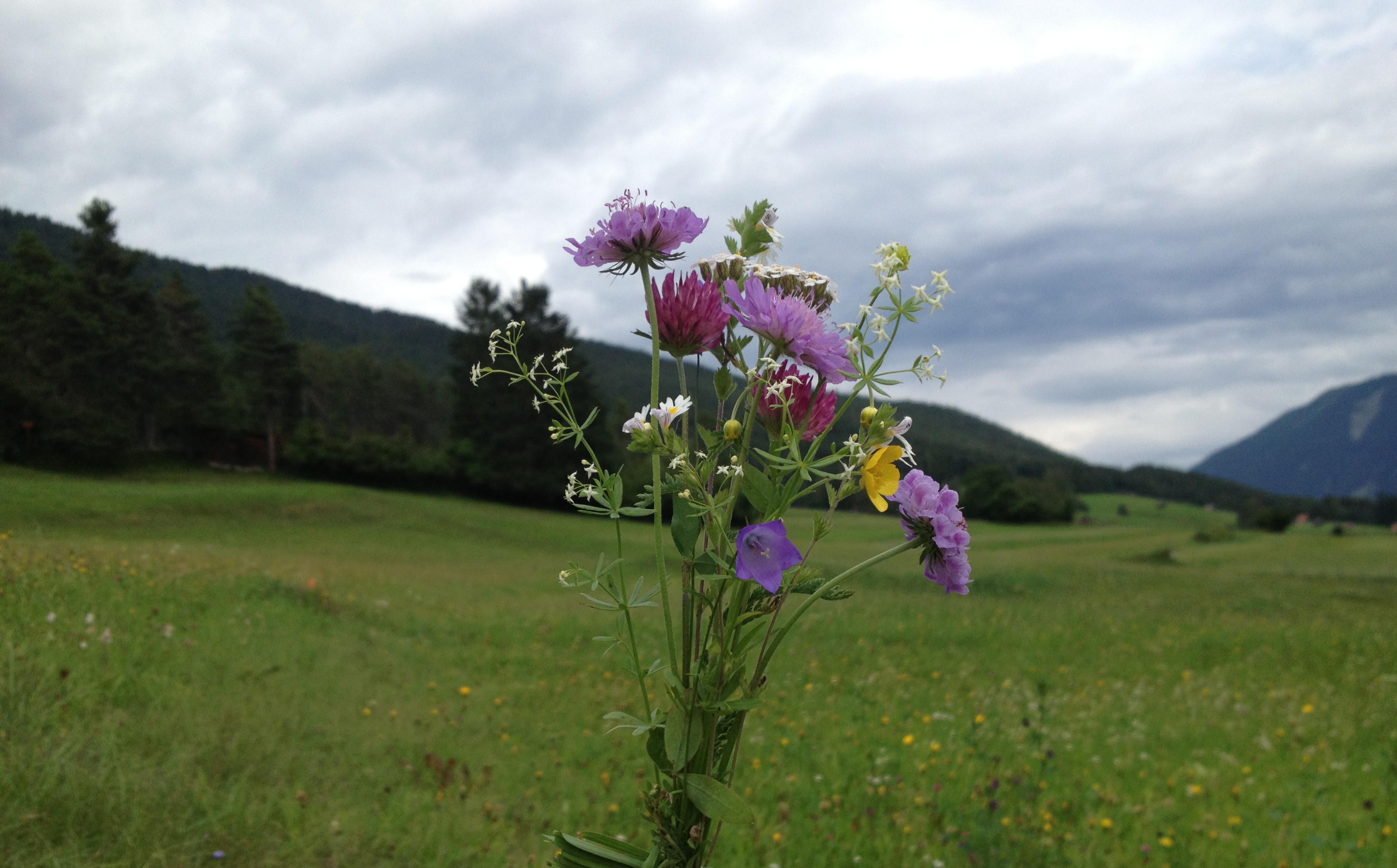 Enjoying Austria's beautiful nature